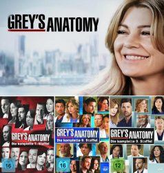 Greys Anatomy - Die komplette Staffel (1 - 9) + (12 - 17) [89-Disc / 15-Boxen]