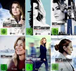 Greys Anatomy - Die komplette Staffel (1 - 9) + (12 - 17) [89-Disc / 15-Boxen]